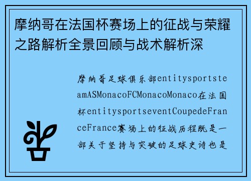 摩纳哥在法国杯赛场上的征战与荣耀之路解析全景回顾与战术解析深